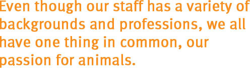 Even though our staff has a variety of backgrounds and professions, we all have one thing in common, our passion for animals.
