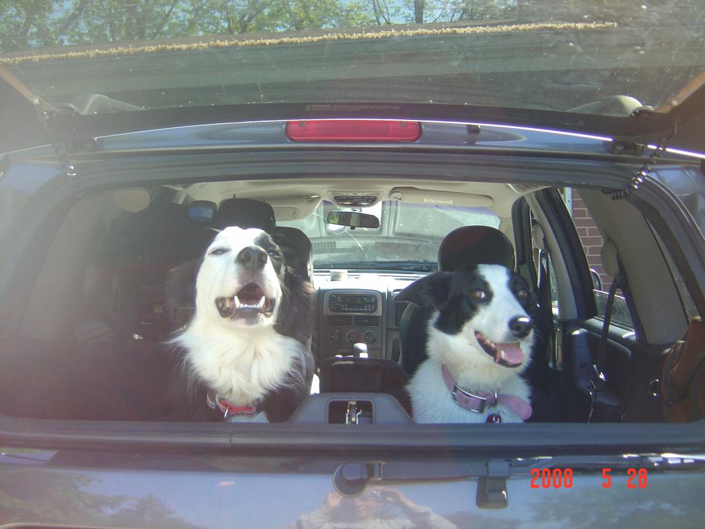 The wind blowing threw our hair!