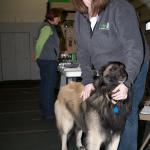 Sara comforts Nash (Kathie's dog) before having to perform in front of a crowd.