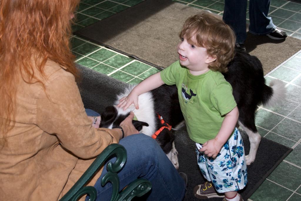 Nicole instructs Collin (Sara's son) to be gentle when petting the doggies!