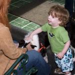 Nicole instructs Collin (Sara's son) to be gentle when petting the doggies!