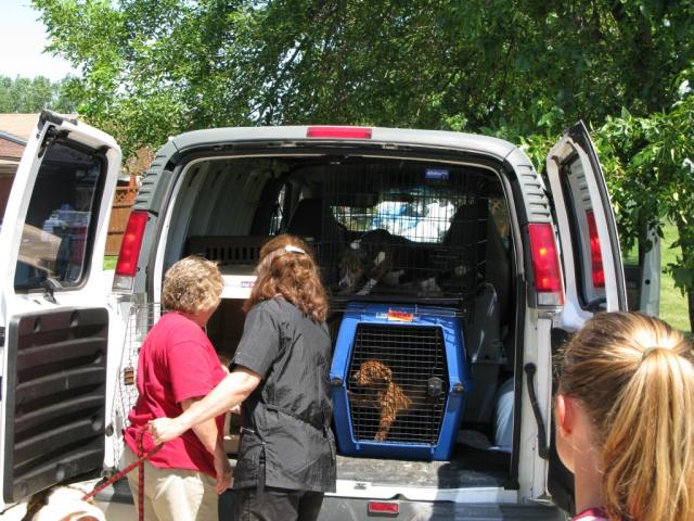 Rendezvous with Blu in Romeoville 7/16/09