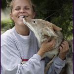 Rebecca and Coyote Pup