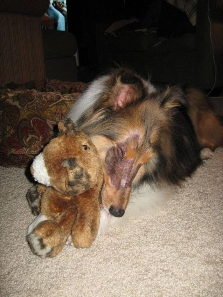 Doyle with his favorite toy - Bear