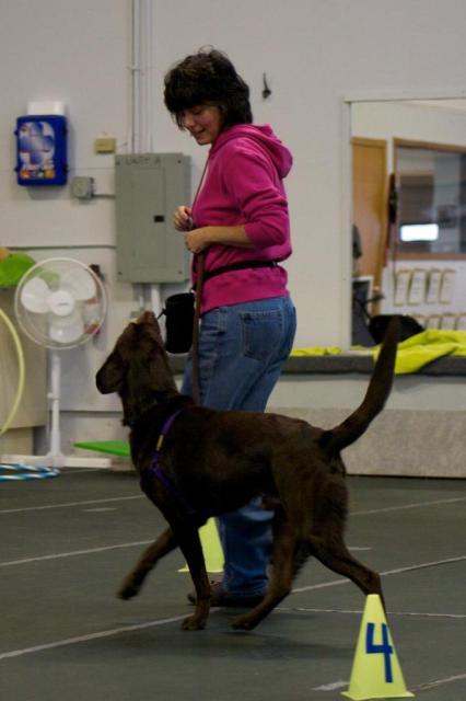 Walking nicely on a leash