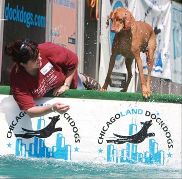 Rusty DockDogs 7 2011 c