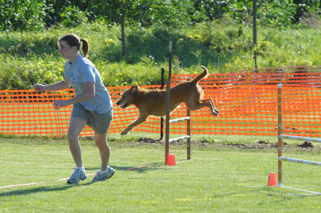 Bridget and Summer at an agility trial