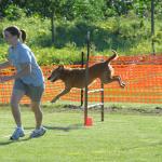 Bridget and Summer at an agility trial