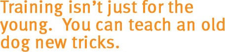 Training isn't just for the young.  You can teach an old dog new tricks.