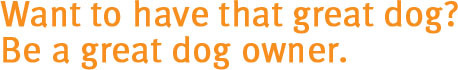 Want to have that great dog? Be a great dog owner.